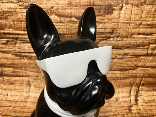 Franse bulldog met zonnebril