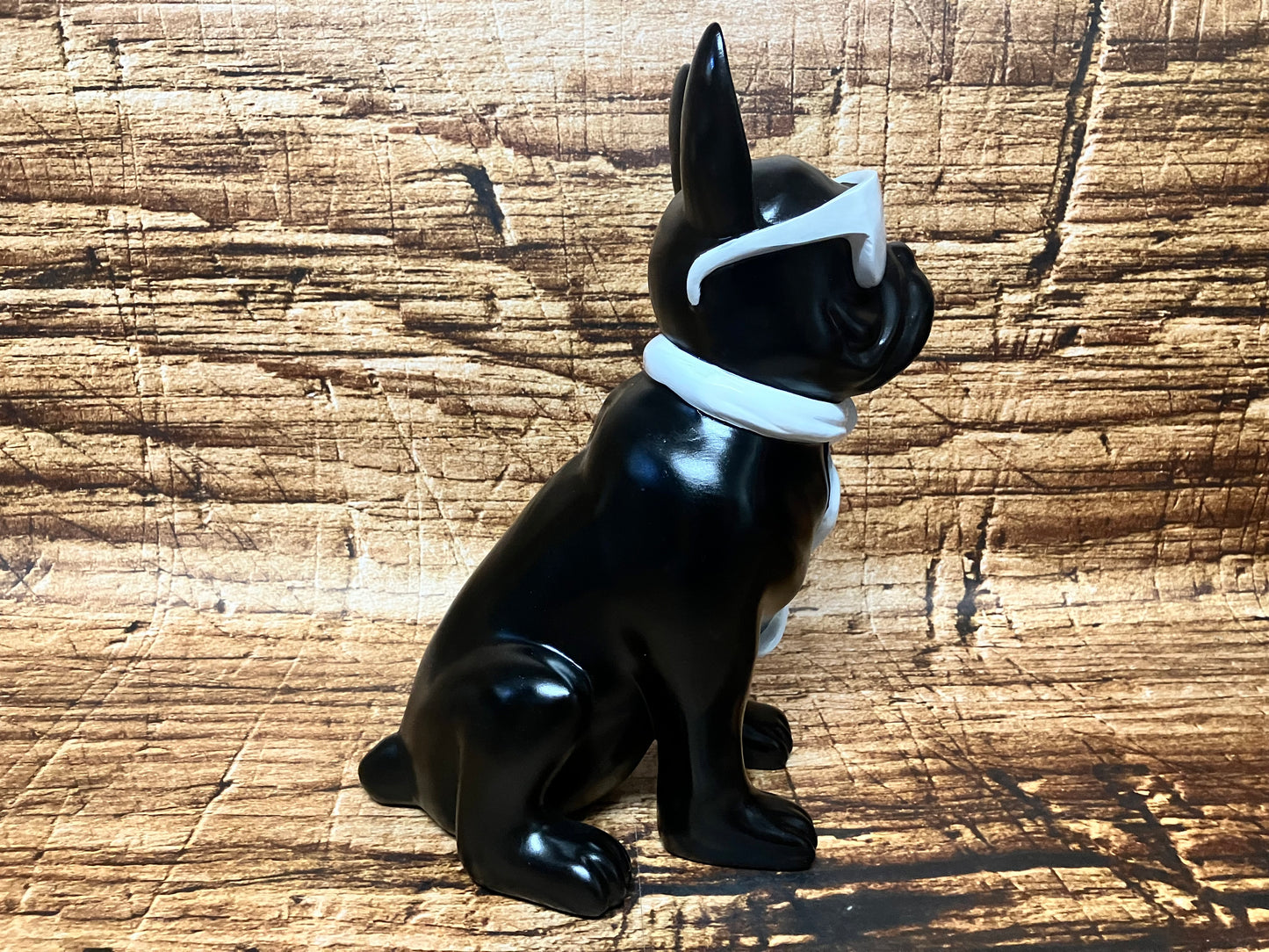 Franse bulldog met zonnebril.