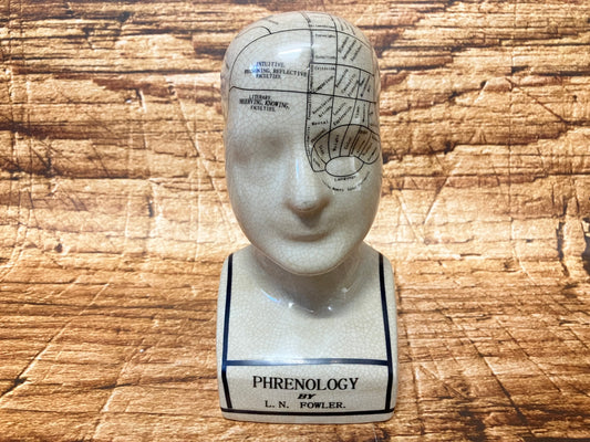 Phrenology hoofd (Medici hoofd) theorie L.N. Fowler