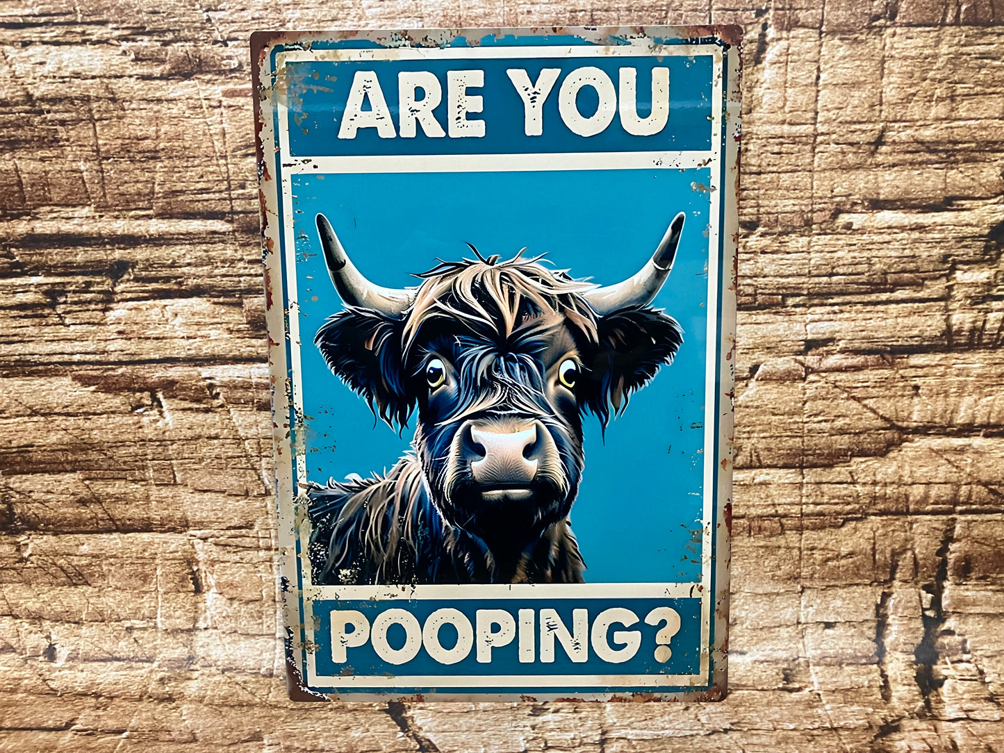 Humoristisch bord met een verbaasd kijkende Highland koe en de tekst “ARE YOU POOPING?”, op een rustieke houten achtergrond met vintage uitstraling.