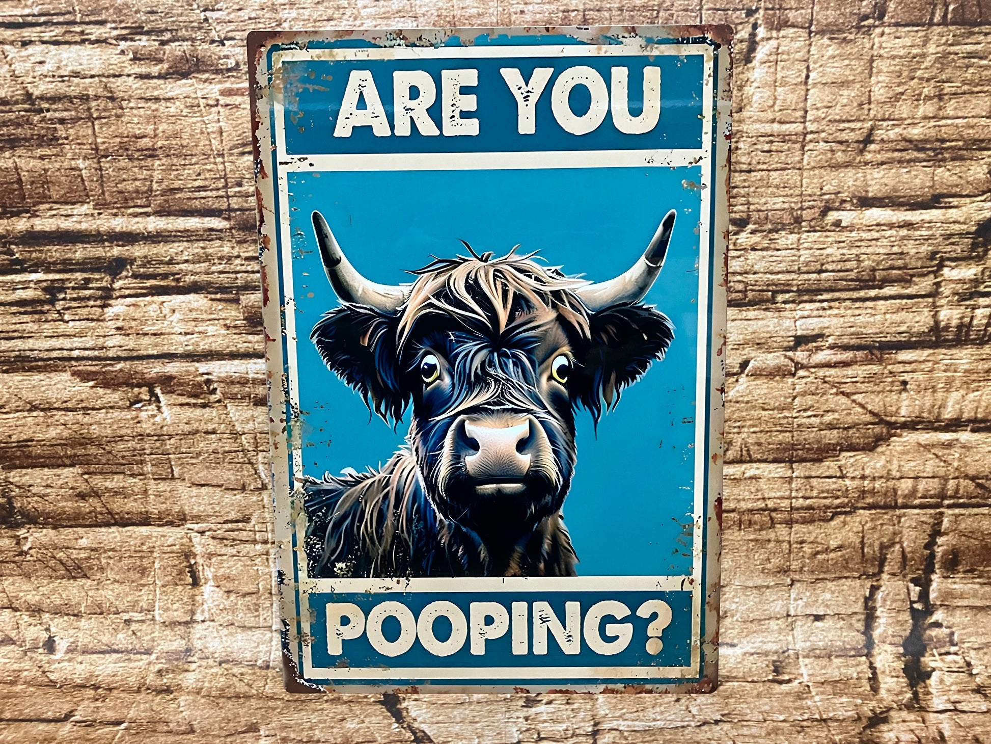 Humoristisch bord met een verbaasd kijkende Highland koe en de tekst “ARE YOU POOPING?”, op een rustieke houten achtergrond met vintage uitstraling.