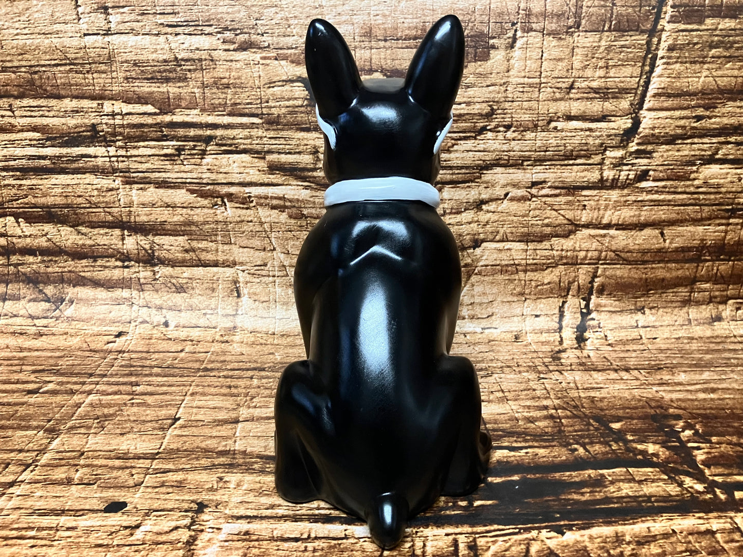 Franse bulldog met zonnebril.