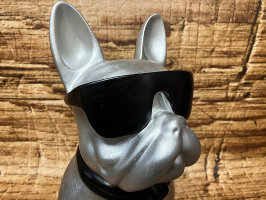 Franse bulldog met zonnebril