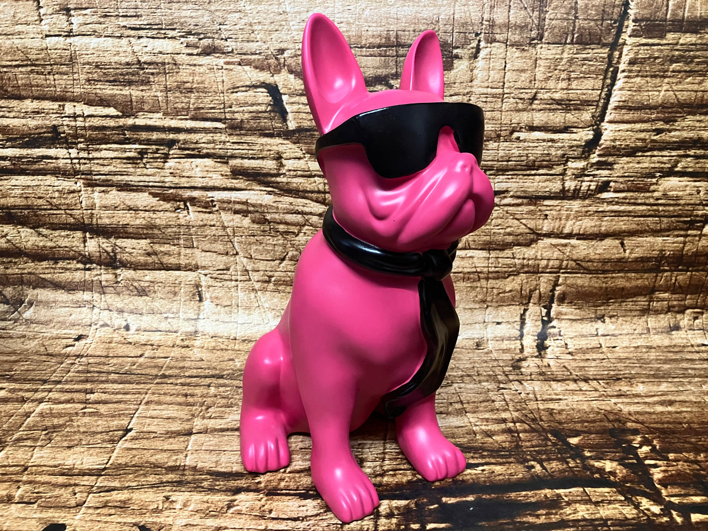 Franse bulldog met zonnebril.