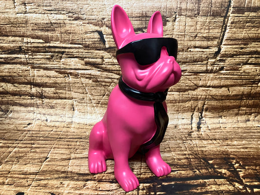 Franse bulldog met zonnebril.