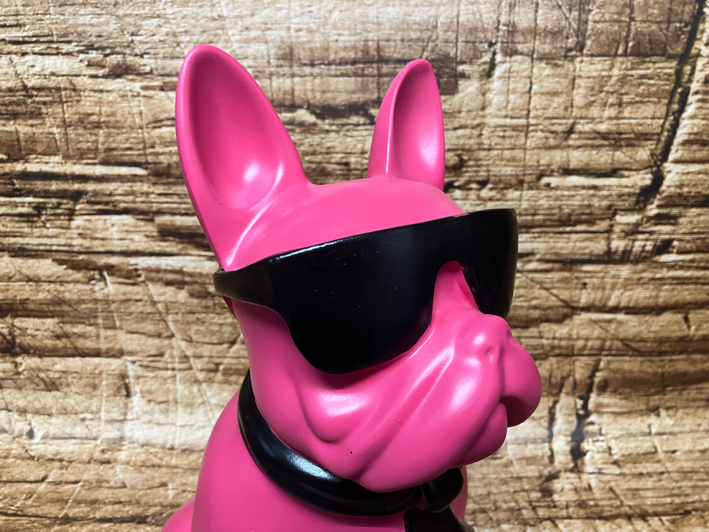 Franse bulldog met zonnebril.