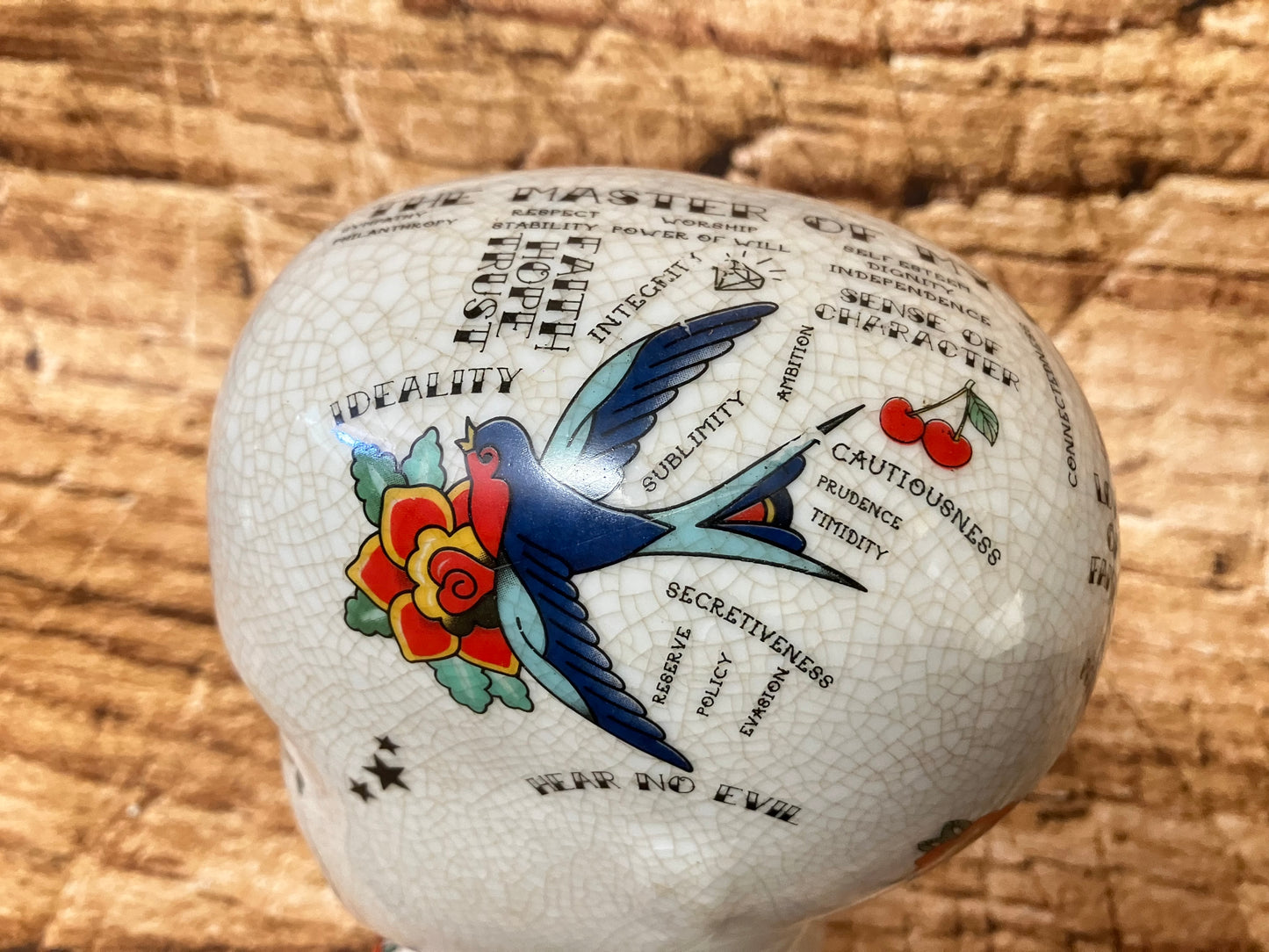 Phrenology hoofd (Medici hoofd) Tattoo variant.