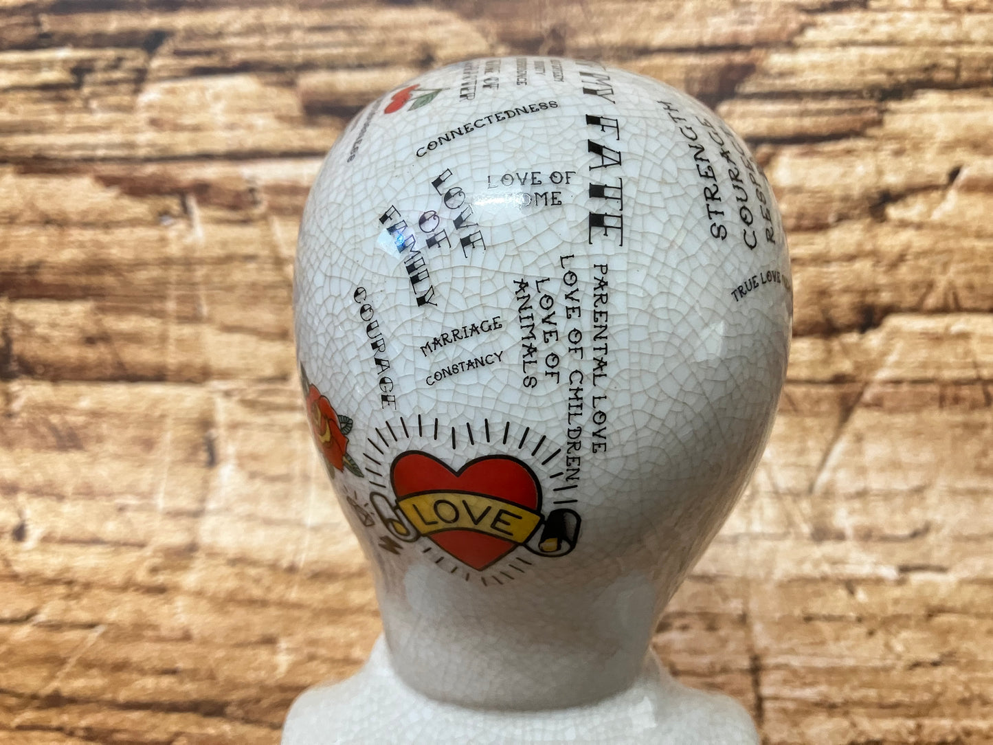 Phrenology hoofd (Medici hoofd) Tattoo variant.