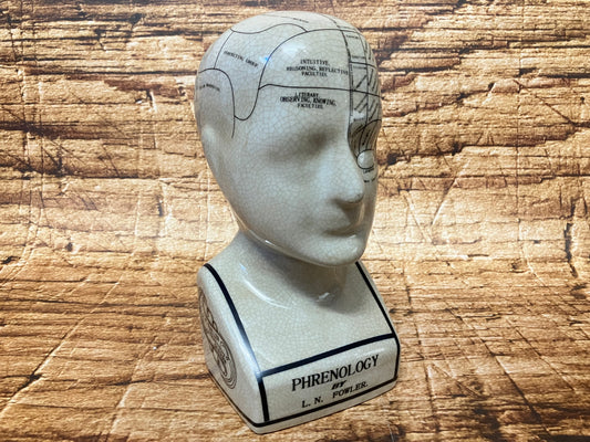 Phrenology hoofd (Medici hoofd) theorie L.N. Fowler.