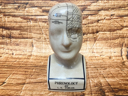 Phrenology hoofd (Medici hoofd) theorie L.N. Fowler