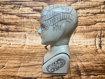 Phrenology hoofd (Medici hoofd) theorie L.N. Fowler