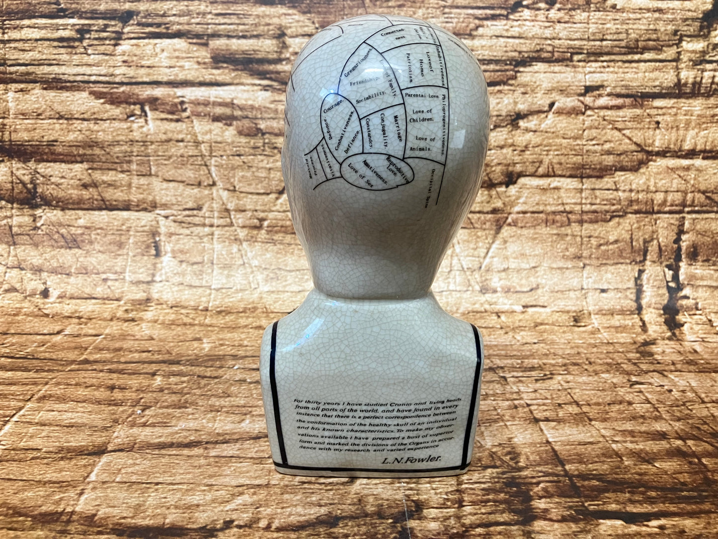 Phrenology hoofd (Medici hoofd) theorie L.N. Fowler.