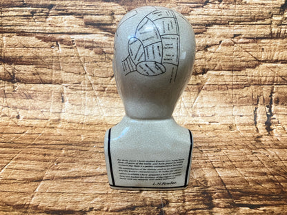 Phrenology hoofd (Medici hoofd) theorie L.N. Fowler