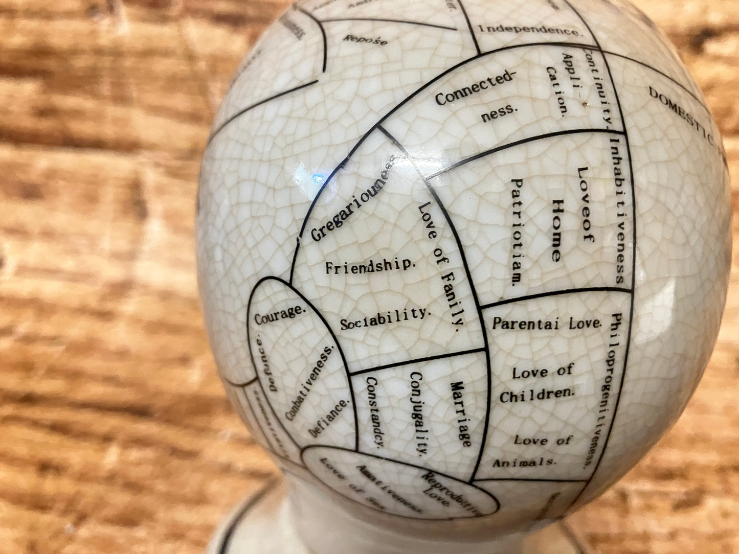 Phrenology hoofd (Medici hoofd) theorie L.N. Fowler.
