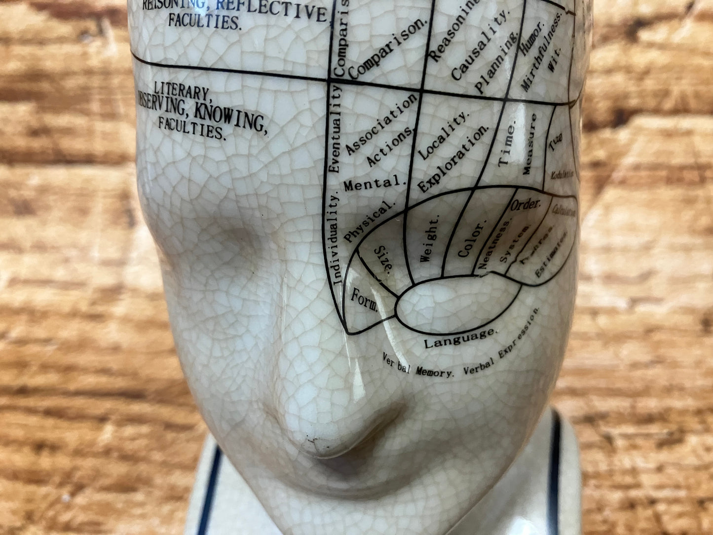 Phrenology hoofd (Medici hoofd) theorie L.N. Fowler.