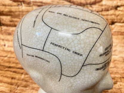 Phrenology hoofd (Medici hoofd) theorie L.N. Fowler