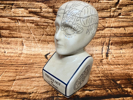 Phrenology hoofd (Medici hoofd) theorie L.N. Fowler.