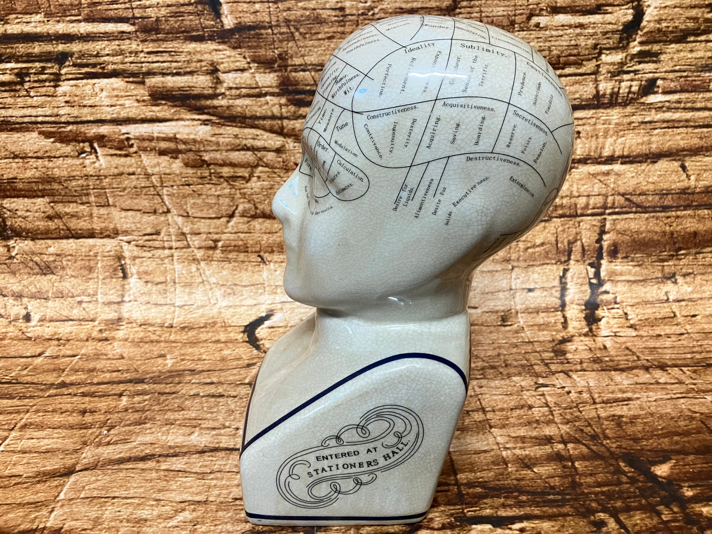 Phrenology hoofd (Medici hoofd) theorie L.N. Fowler.