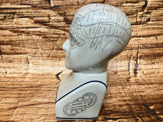 Phrenology hoofd (Medici hoofd) theorie L.N. Fowler