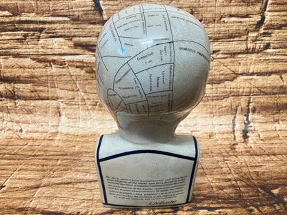 Phrenology hoofd (Medici hoofd) theorie L.N. Fowler