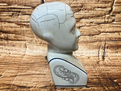 Phrenology hoofd (Medici hoofd) theorie L.N. Fowler