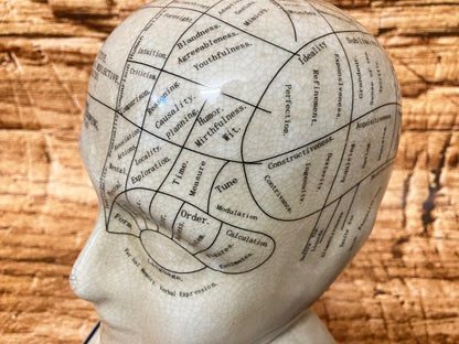 Phrenology hoofd (Medici hoofd) theorie L.N. Fowler