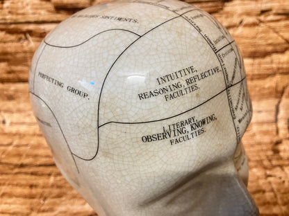 Phrenology hoofd (Medici hoofd) theorie L.N. Fowler
