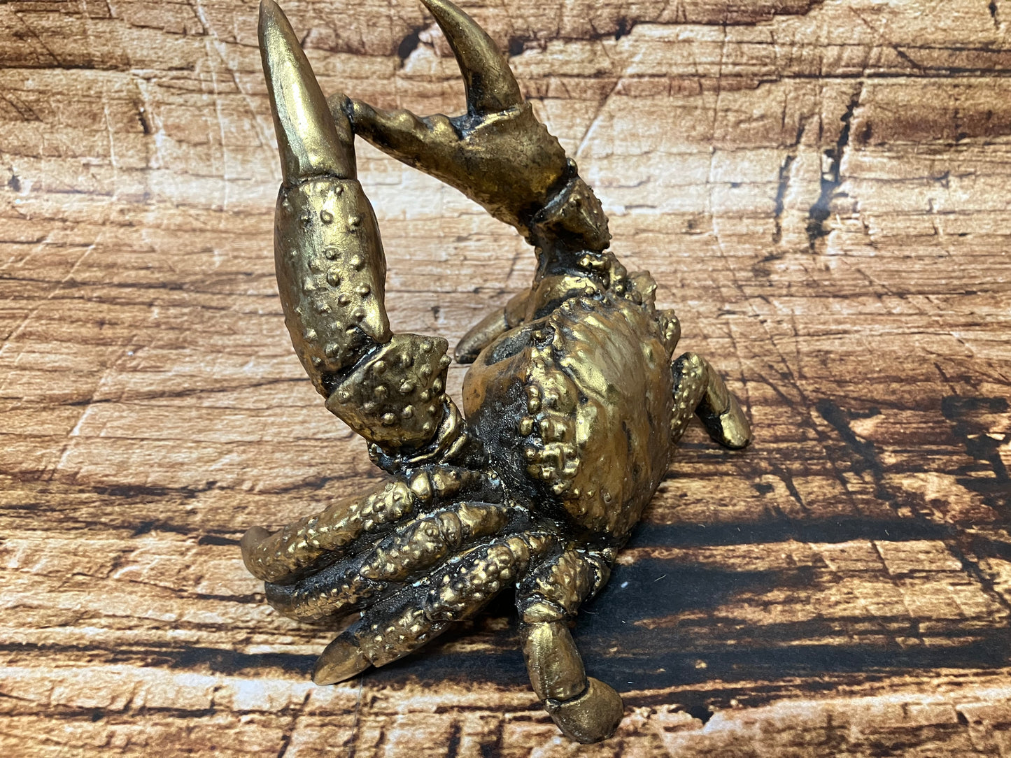 Gouden krab Fleshouder