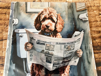 Labradoodle op het Toilet met Krant wandbord