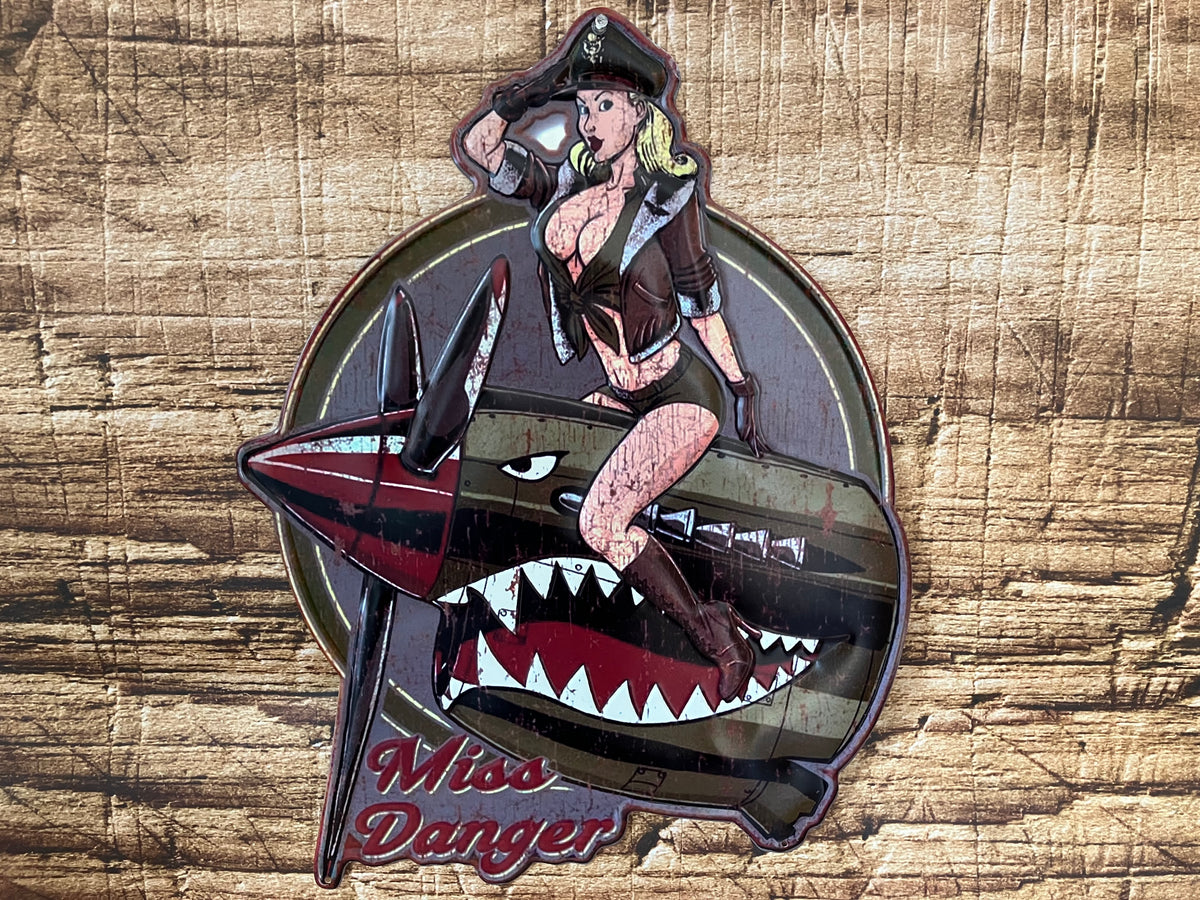 Metalen Wandbord Pin-Up Vliegtuig Miss Danger