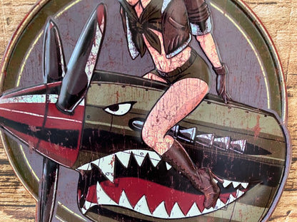 Metalen Wandbord Pin-Up Vliegtuig Miss Danger