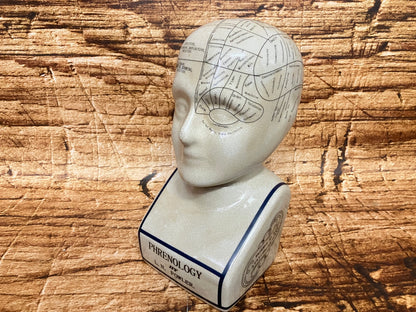 Een ceramische frenologie‑buste met ingetekende hersengebieden en labels