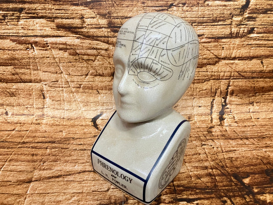 Een ceramische frenologie‑buste met ingetekende hersengebieden en labels